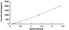 Rat Complement Factor B CFB ELISA Kit