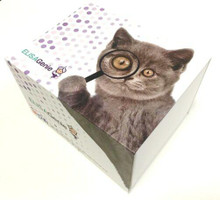 Monkey Follicle Stimulating Hormone FSH ELISA Kit