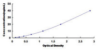 Human Glutamate Dehydrogenase 1 GDH ELISA Kit