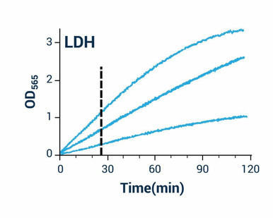 LDH / Lactate Dehydrogenase Assay Kit
