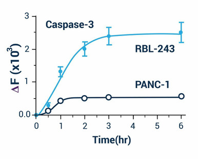 Caspase activity