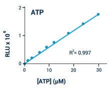 Cell Health Assays ATP Assay Kit Luminescent BA0080