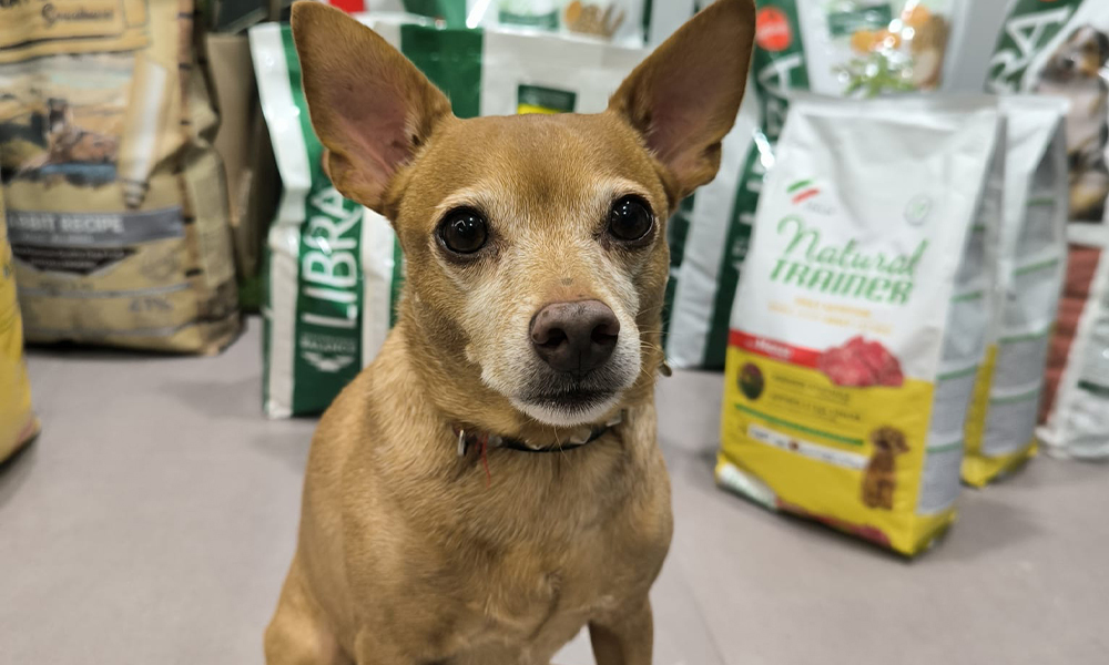 Nutricion y dietética de Farmacia Carmen Ortiz en Benacazón (Sevilla)