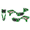 Graphics Kit for Apollo RFZ Z20 Z40 (All Years) Predator Series