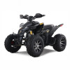 “Denago Daytona 250 youth/adult ATV Black – 250cc clutched four-wheeler” “Denago Daytona 250 youth/adult ATV Black – 250cc clutched four-wheeler”