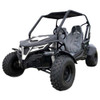 Trailmaster Cheetah 200E (EFI)