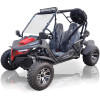 Trailmaster Cheetah 200x