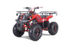 2022 Tao Motor T-Force T-125 (Red)