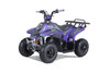 2023 Tao Motor Rock 110 (Purple)