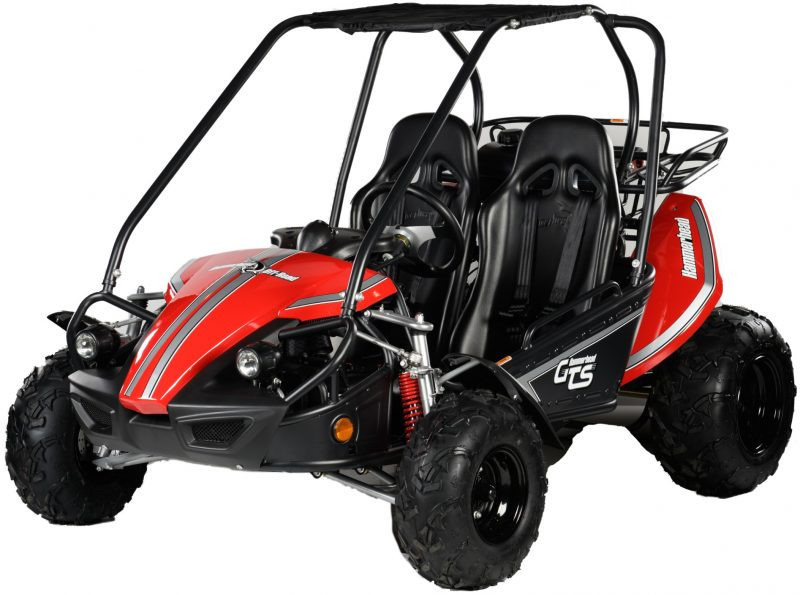Hammerhead GTS 150 adult off-road go kart — official product photo showing canopy and suspension