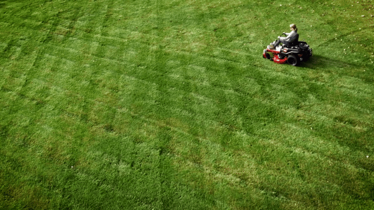 The TORO 42" TimeCutter® Zero Turn Mower in action, effortlessly maneuvering around trees and obstacles with its 42" stamped steel deck and 22 HP Briggs & Stratton engine. Highlighting its wide 18" rear tires, handcrafted seat, step-through front end, and Smart Speed® controls. Perfect for homeowners with up to 2 acres of lawn.