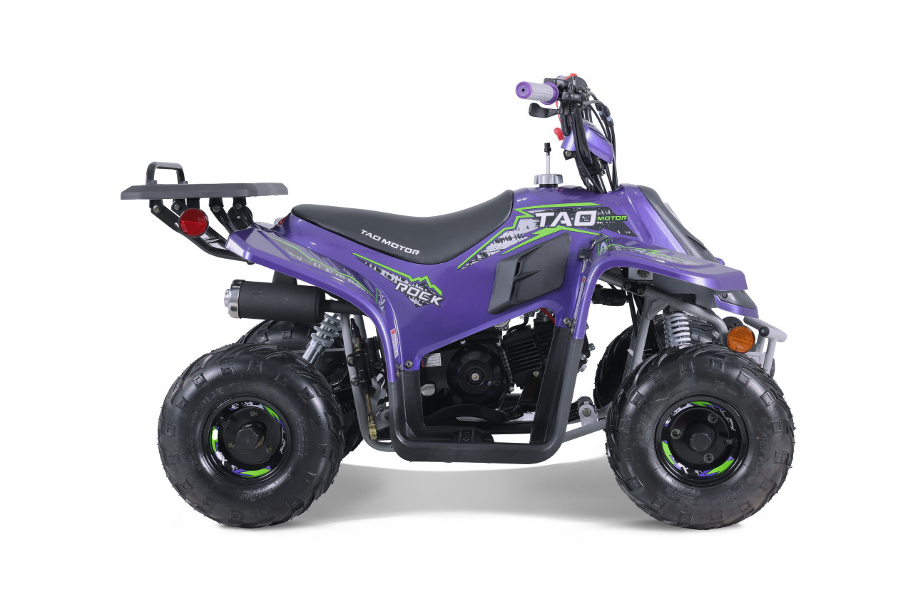 2023 Tao Motor Rock 110 (Purple)