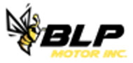 BLP Motor