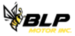 BLP Motor