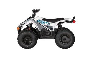 Kayo EA70 Parts Schematics