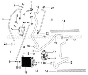 Benelli Zafferano Radiator and Hoses (Free Shipping) Benelli Zafferano Radiator and Hoses (Free Shipping)