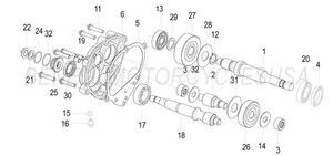 Benelli Zafferano Transmission (Free Shipping) Benelli Zafferano Transmission (Free Shipping)