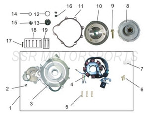 Stator Assembly for SSR SR150, XD150, SR189 Stator Assembly for SSR SR150, XD150, SR189