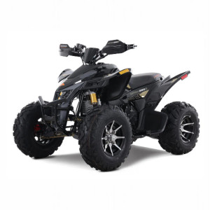 “Denago Daytona 250 youth/adult ATV Black – 250cc clutched four-wheeler” “Denago Daytona 250 youth/adult ATV Black – 250cc clutched four-wheeler”