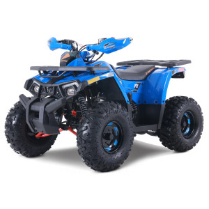 “2026 Denago Mudhawk 10 Blue youth ATV – fully assembled or crate option” “2026 Denago Mudhawk 10 Blue youth ATV – fully assembled or crate option”