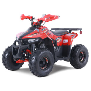 Denago Mudhawk 6 youth ATV red – kids 4 wheeler with remote shut-off. Denago Mudhawk 6 youth ATV red – kids 4 wheeler with remote shut-off.
