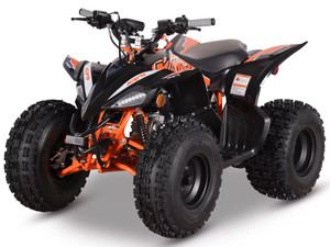 "The Kayo Predator 125 EFI Black Edition is a high-performance youth sport ATV featuring a 124cc fuel-injected engine, automatic transmission with reverse, and premium suspension. With hydraulic disc brakes, LED lighting, LCD display, and aggressive off-road tires, this competition-ready ATV delivers professional performance for riders 10+. Shown in sleek black with red accents." "The Kayo Predator 125 EFI Black Edition is a high-performance youth sport ATV featuring a 124cc fuel-injected engine, automatic transmission with reverse, and premium suspension. With hydraulic disc brakes, LED lighting, LCD display, and aggressive off-road tires, this competition-ready ATV delivers professional performance for riders 10+. Shown in sleek black with red accents."