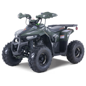 Denago Mudhawk 6 youth ATV Matte Green – kids 4 wheeler with remote shut-off.