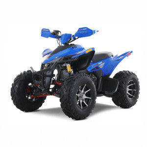 “Denago Daytona 250 Blue Edition Sport ATV fully assembled or crate option” “Denago Daytona 250 Blue Edition Sport ATV fully assembled or crate option”