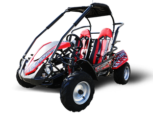 Trailmaster Blazer 200R