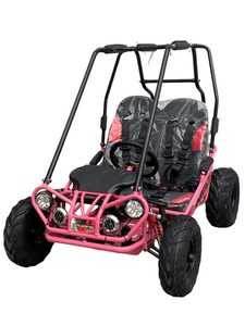 Trailmaster Mini XRX+ / XRX/R+ Youth Go Kart