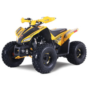 "A Denago Trailhawk 10FI Yellow Edition Youth ATV parked on a rugged dirt trail, showcasing its bold yellow color, aggressive 120cc EFI engine, and safety features like hydraulic disc brakes, LED lights, and color-matched handguards. Designed for riders ages 10+, this high-performance quad includes a wireless remote shut-off, adjustable throttle limiter, and automatic transmission with reverse gear."