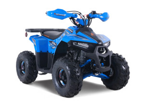 Denago Mudhawk 6 youth ATV Blue – kids 4 wheeler with remote shut-off.