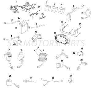 Wiring Harness / LCD Meter for SSR Bison 200