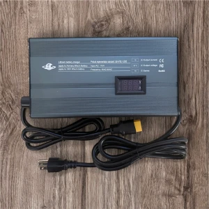 60v 10A Charger