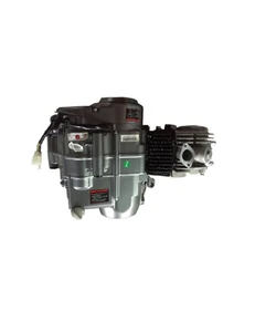 140cc 4 Speeds Kick Start Engine Oil Cool for Denago MX3