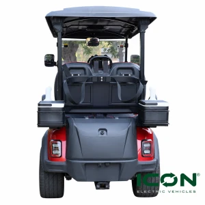 Golfer Set Up For ICON i40FX Golf Carts