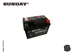 (10) BATTERY 12V/3A (10) BATTERY 12V/3A