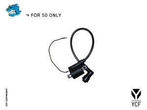 (04) IGNITOR COIL (YCF50)