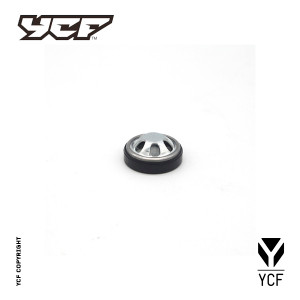 (124) OIL SIGHT GLASS (YCF50)