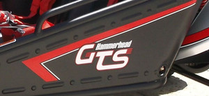 (01) Decal Sticker, Left (Driver) Side (Platinum GTS) (01) Decal Sticker, Left (Driver) Side (Platinum GTS)