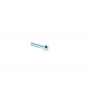 (08) Wolf Rx-50 Flange Bolt (6mm x 25mm)