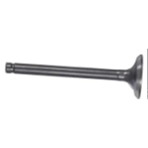 (31) Tao Boulder Exhaust Valve (31) Tao Boulder Exhaust Valve