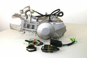 DAYTONA Anima 190cc FDX ENGINE DAYTONA Anima 190cc FDX ENGINE
