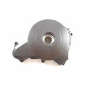 (48) Tao DB10 Left Engine Crankcase Cover (48) Tao DB10 Left Engine Crankcase Cover
