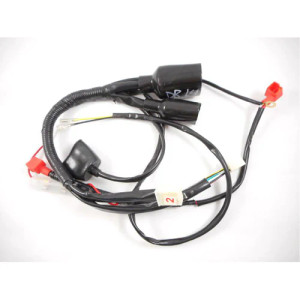 (06) Tao DB10 Wiring Harness (06) Tao DB10 Wiring Harness