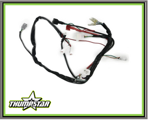 Wiring Harness | Fits Thumpstar Version 5 Electric Start Models: TSK110, TSB125 Wiring Harness | Fits Thumpstar Version 5 Electric Start Models: TSK110, TSB125