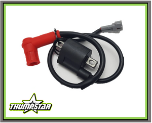 3255 | Ignition Coil Complete Assembly. Fits: Thumpstar Models: TSB110, TSK110, TSB125, TSX125, TSX140, TSX190, TSX212 3255 | Ignition Coil Complete Assembly. Fits: Thumpstar Models: TSB110, TSK110, TSB125, TSX125, TSX140, TSX190, TSX212