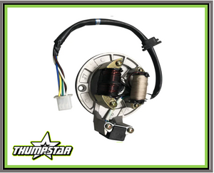Stator | Fits Thumpstar Models: TSB70, 110, 125 Stator | Fits Thumpstar Models: TSB70, 110, 125