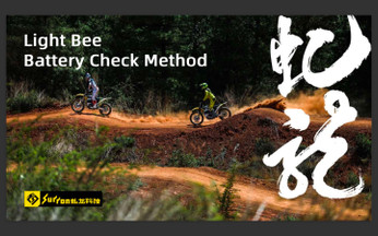 Light Bee Battery Check Method