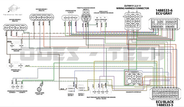 Odes V-Twin Delphi Harness Odes V-Twin Delphi Harness